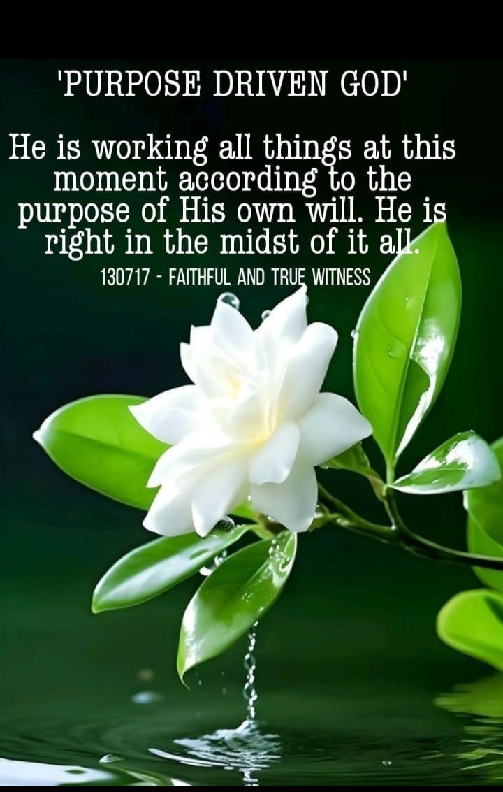 WHAT I HAVE LEARNT FROM APSTL : TSHISAPHUNGO sermon